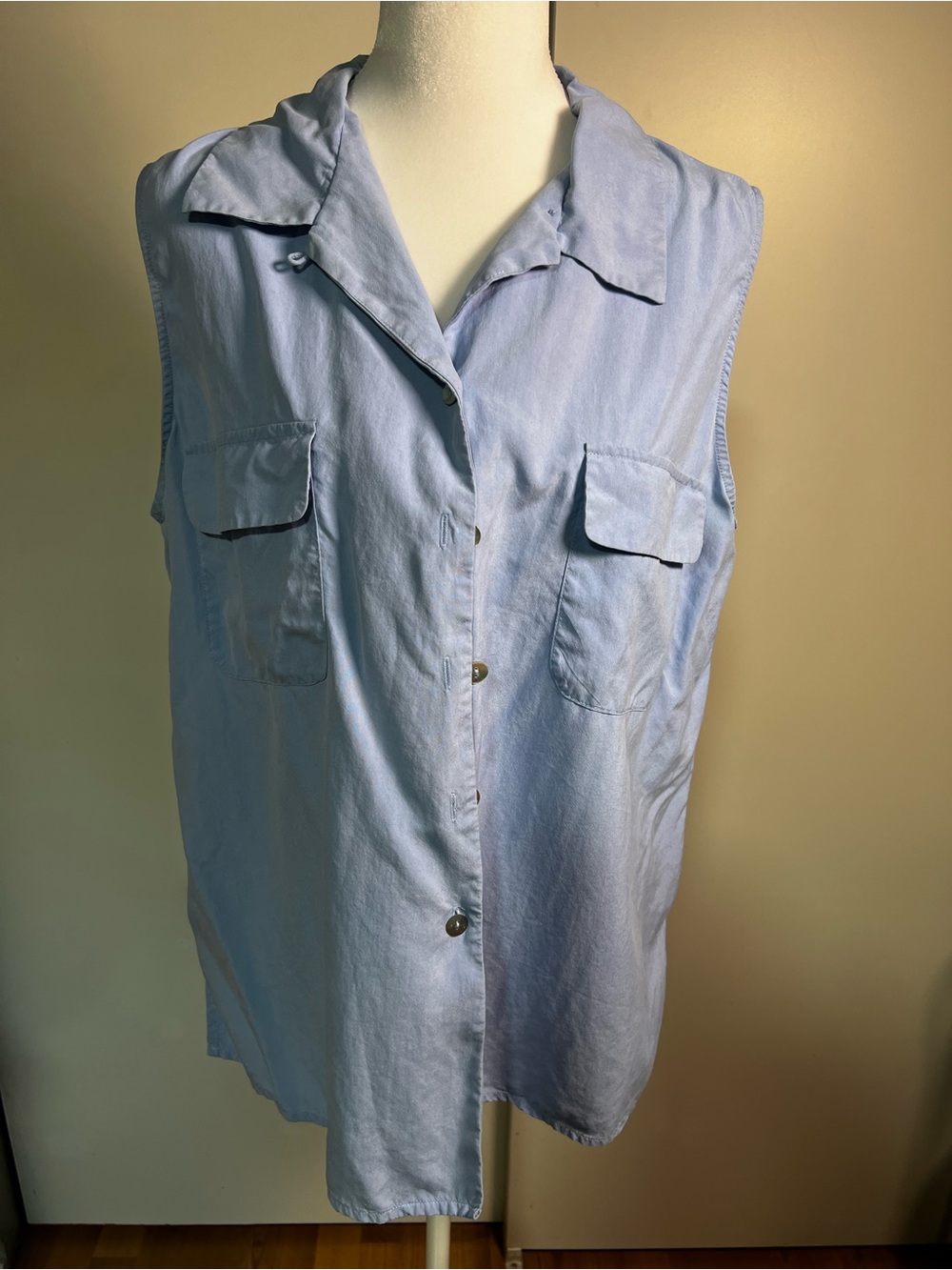 Allison Taylor Light Blue Sleeveless Button-Front Shirt